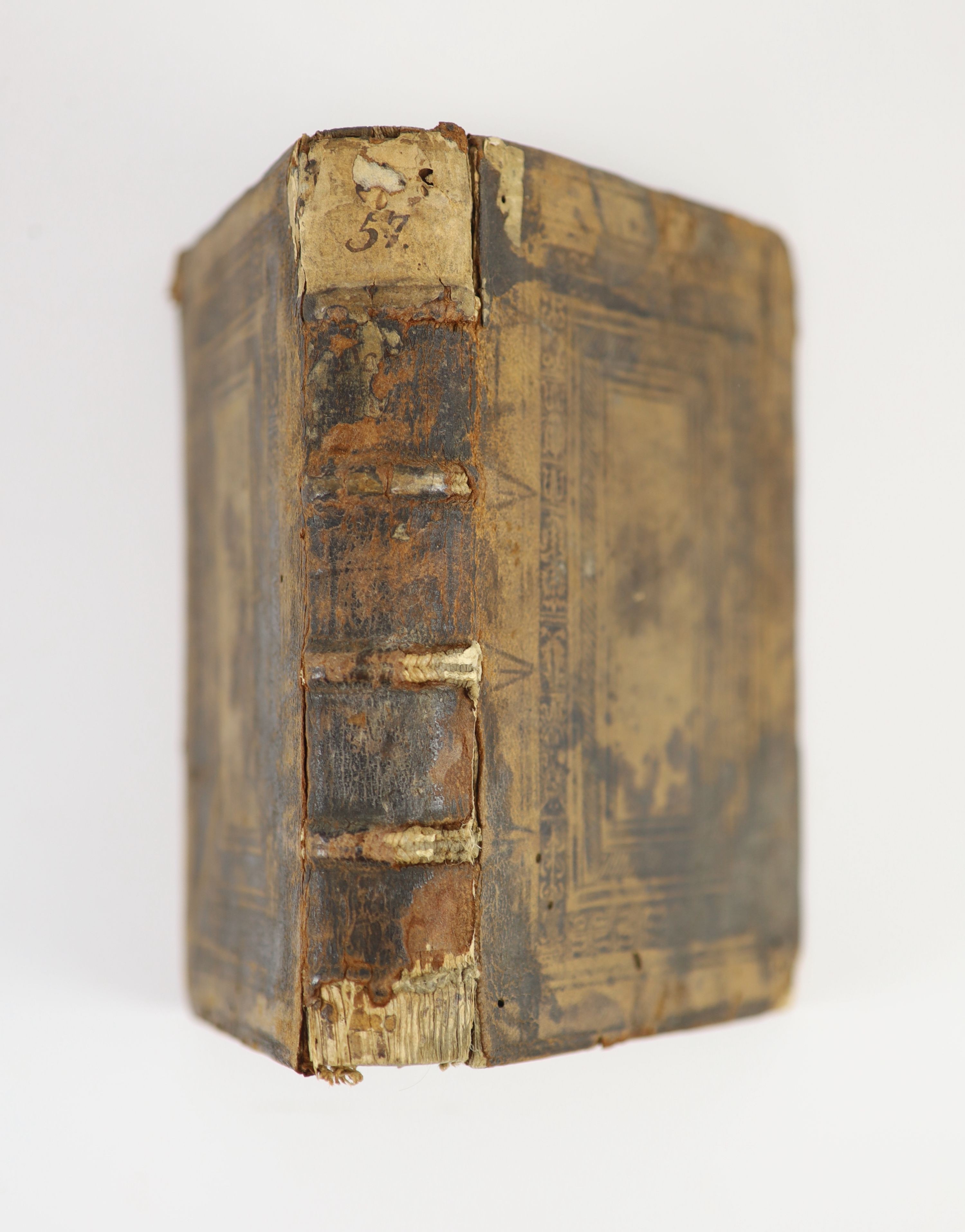 Aufrerius, Stephanus. Decisiones Materiaru: quotidianaru ... in Capella Sedis Archiepalis Tholose decise ...